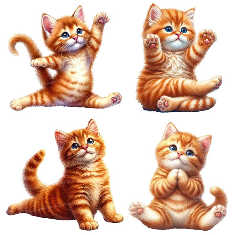Yoga Katze Wanda uf kleber abn – Kitchen Appliances Design Bewertung und Preis